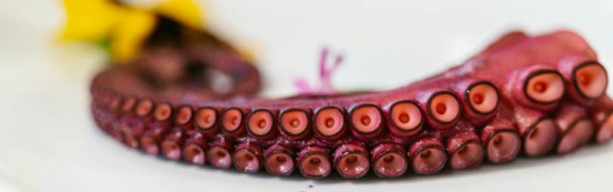 Espacial Sábados y Festivos